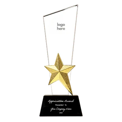 Crystal Trophy With Metal Star