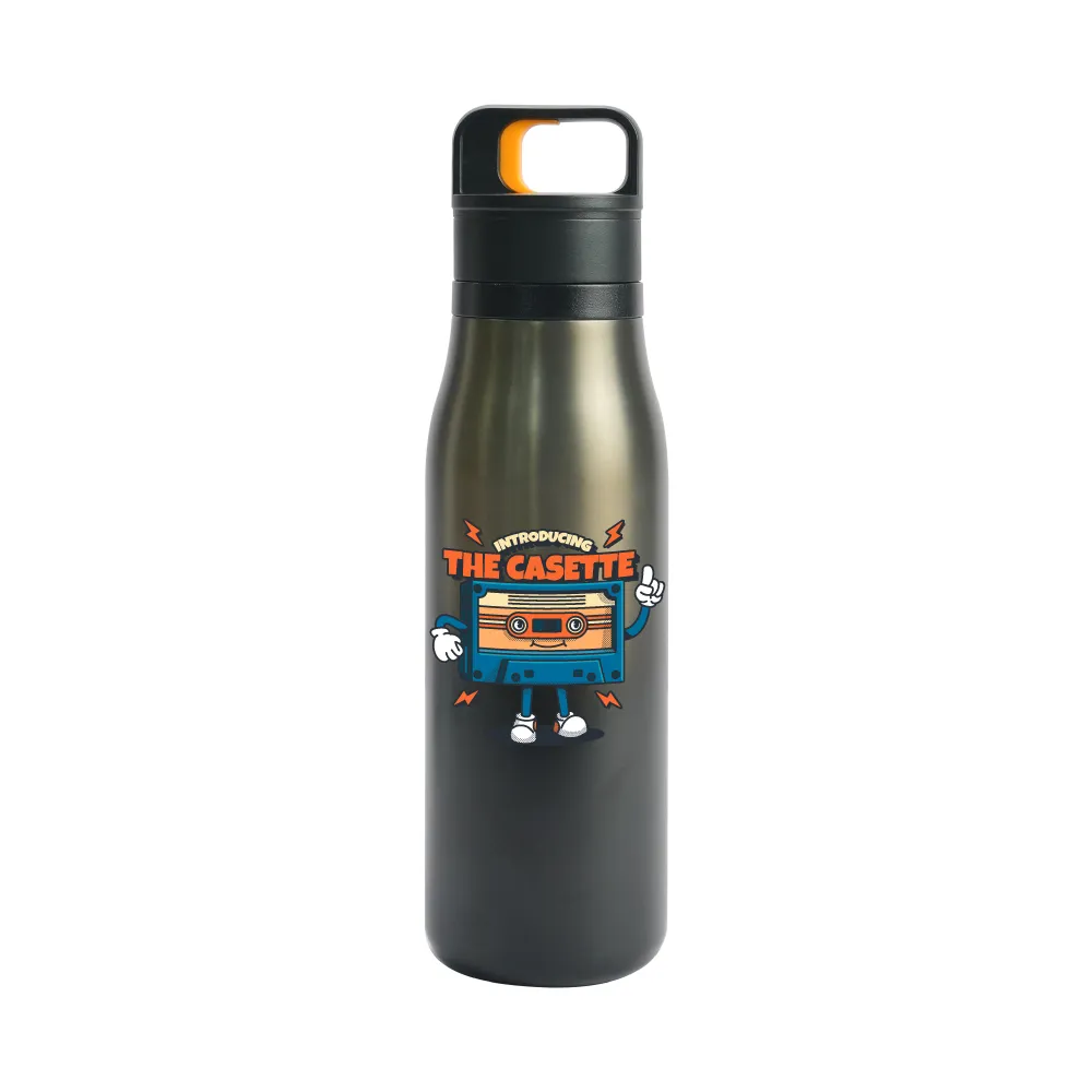 Double Wall Stainless Steel Bottles with Push Button (500 ml)