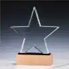 Star Crystal Trophy With Wooden Base